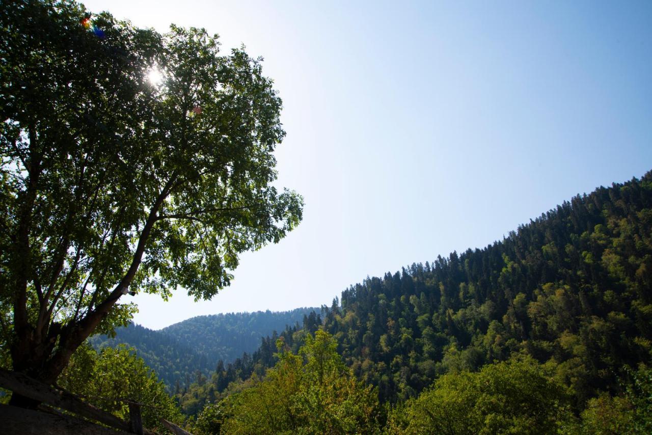 Landhaus Borjomi Esterno foto
