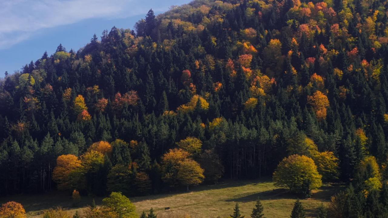 Landhaus Borjomi Esterno foto