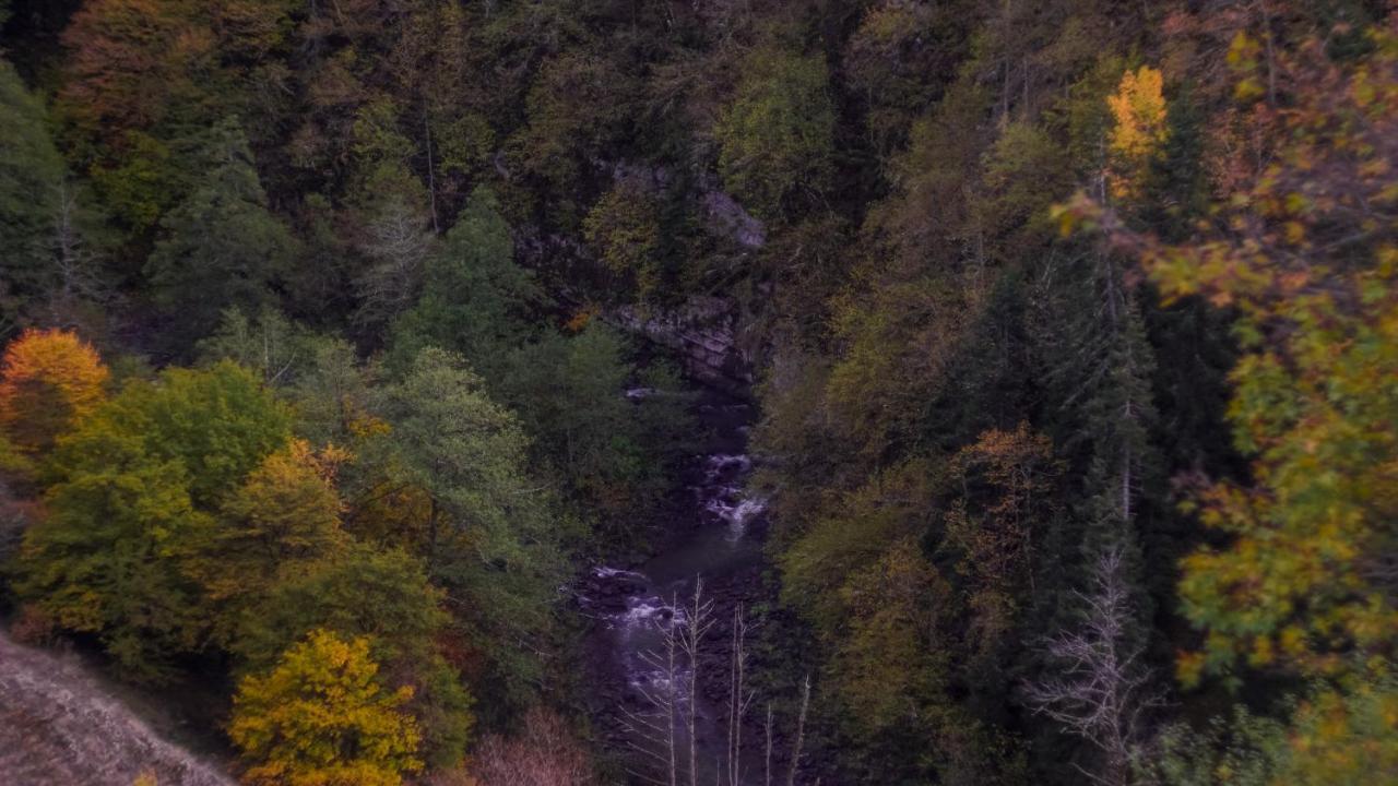 Landhaus Borjomi Esterno foto