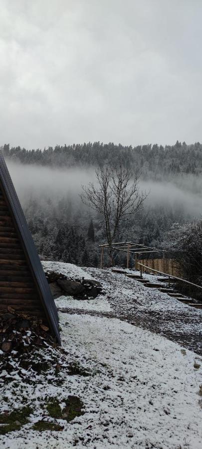 Landhaus Borjomi Esterno foto