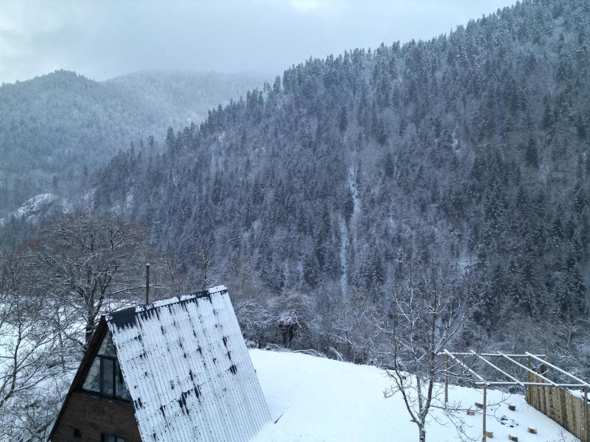 Landhaus Borjomi Esterno foto