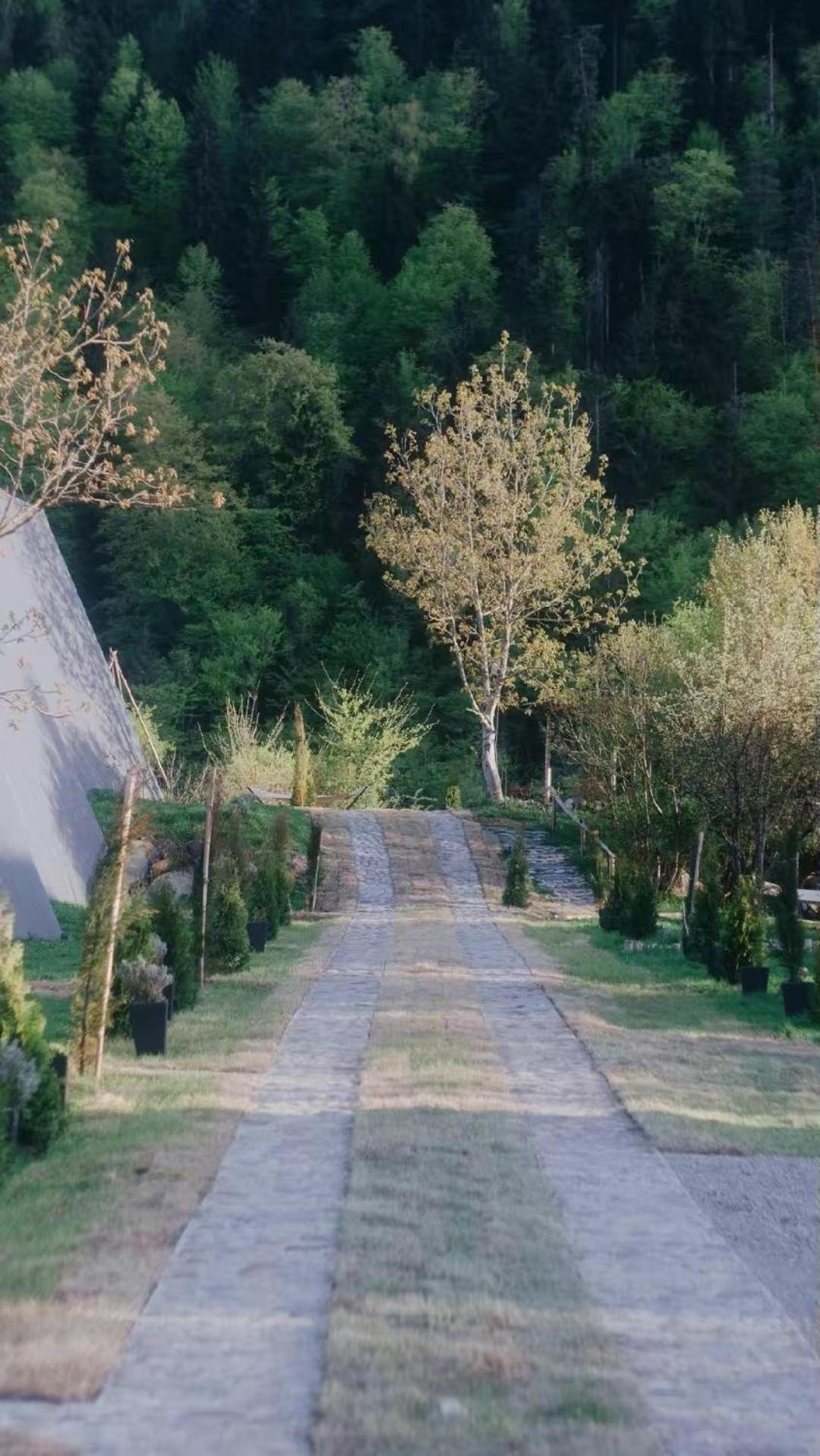 Landhaus Borjomi Esterno foto